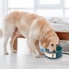 Heated Water Bowl for Dog  74.4OZ Heating Water Dish IP67 Waterproof Thermal Water Bowl Heated Pet Bowl Dog Water Feeder Bowl for Dog