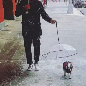 Dog Umbrella with Leash Snow-Proof Rain Proof Windproof Umbrella