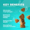 No Poo Probiotics for Dogs Dog Chewable Supplement Pet Supplies for All Dog Breeds Digestion