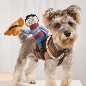 Fun Dog Costume (Color: Mixed Color, size: S)